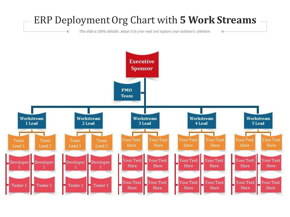 erp_deployment_org_chart_with_5_work_streams_slide01.webp